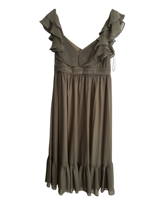 Birdy Grey Dresses & Skirts - Birdy Grey Michelle Chiffon Dress in Green